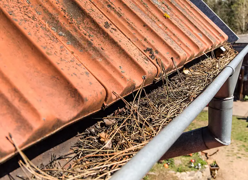 dakonderhoud bestaand dak dakdekker dakonderhoud bestaand