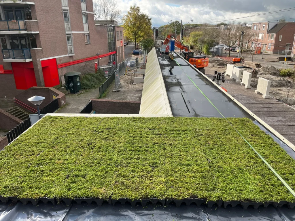 groendaken gronddakservice groendaken gronddakservice